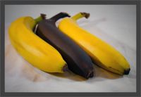 United Colors of Bananas #1