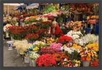 Květinové tržiště